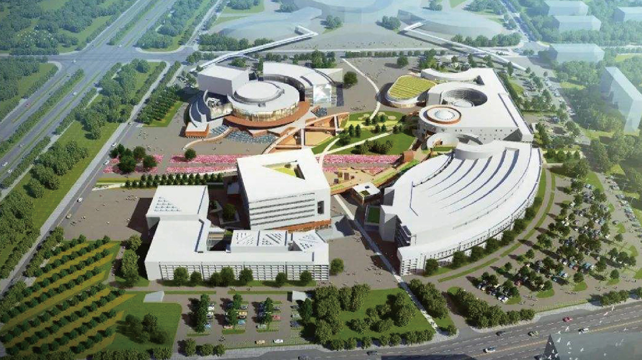 武汉东西湖文化中心建设项目